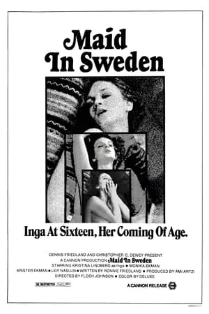 Maid in Sweden poszter