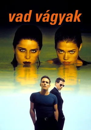 Vad vágyak