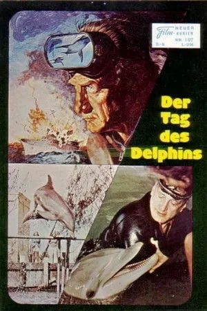 A delfin napja poszter