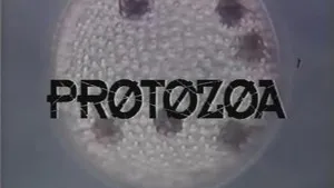 Protozoa háttérkép