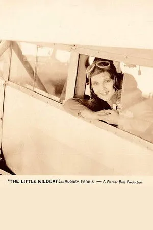 The Little Wildcat poszter