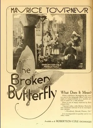 The Broken Butterfly poszter