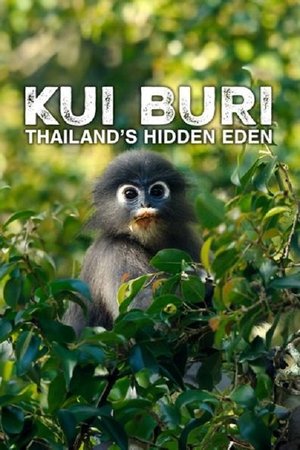 Kui Buri: Thailand's Hidden Eden