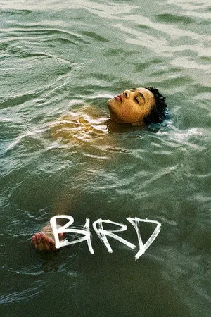 Bird poszter
