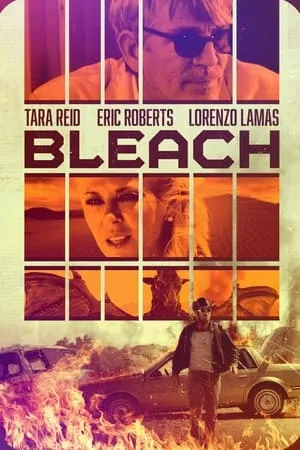 Bleach poszter