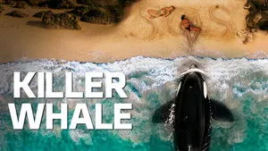 Killer Whale háttérkép