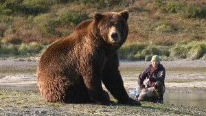 Bear-Like háttérkép