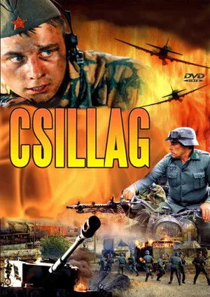Csillag