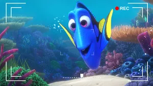 Dory's Reef Cam háttérkép