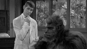 Bela Lugosi Meets a Brooklyn Gorilla háttérkép