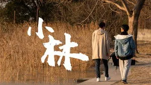 Xiao Lin háttérkép