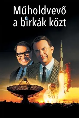 Műholdvevő a birkák közt