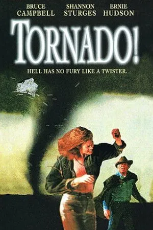 Tornado! poszter