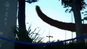 Iszonyat. háttérkép