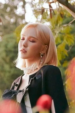 웬디 profil kép