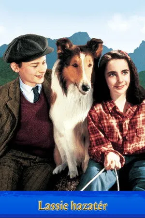 Lassie hazatér