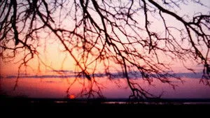 The Legend of Boggy Creek háttérkép