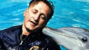 A delfin napja háttérkép