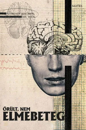 Őrült, nem elmebeteg