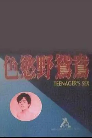 Teenager's Sex poszter
