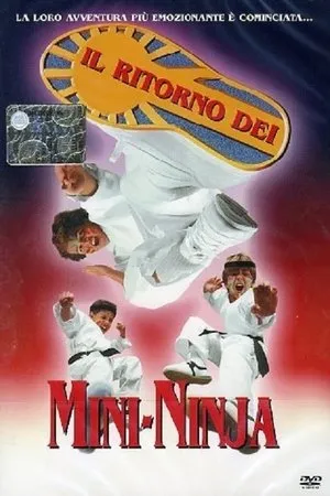 A 3 nindzsa nem hagyja magát poszter