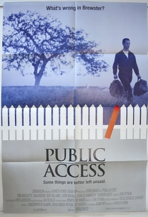 Public Access