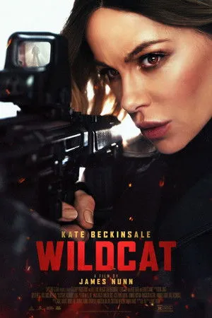 Wildcat poszter