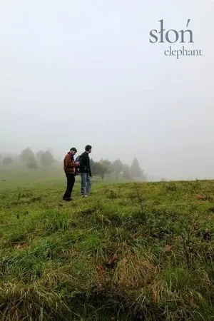 Elefánt poszter