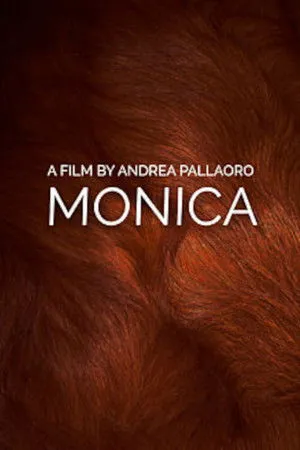 Monica poszter