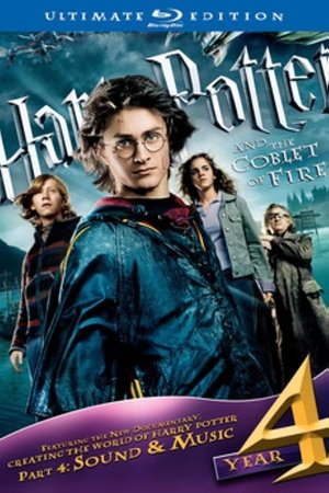 Creating the World of Harry Potter: Sound and Music