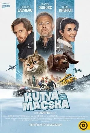 Kutya és macska