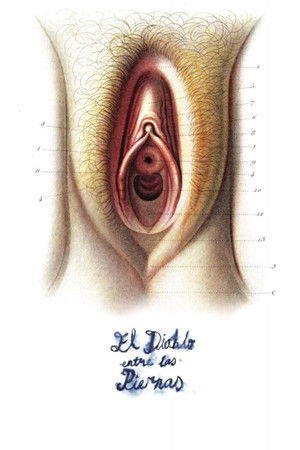 El diablo entre las piernas