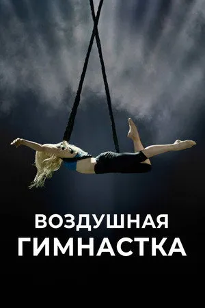 The Aerialist poszter