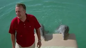 A delfin napja háttérkép