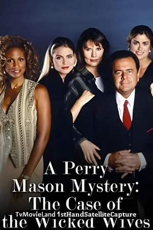 Perry Mason: The Case of the Wicked Wives poszter