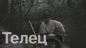 Taurus háttérkép