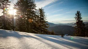 Untamed Romania háttérkép