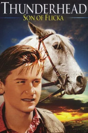 Thunderhead: Son of Flicka poszter