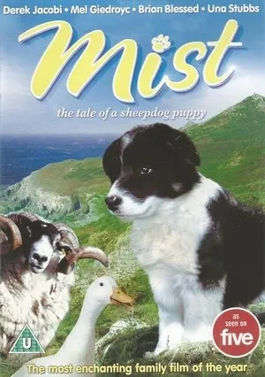 Köd - Egy juhászkutya kölyök meséje