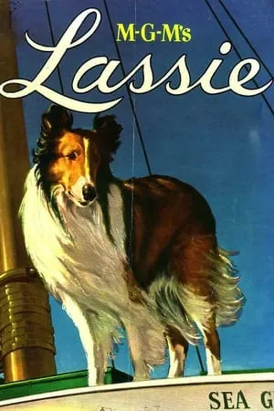 MGM's Lassie filmek